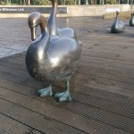 IMG_20150122_131329[1]