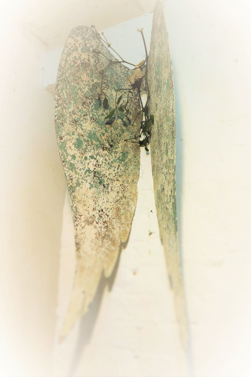 Angels and Mistletoe