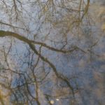 Reflections In The Water