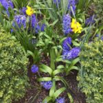 strolling in the park