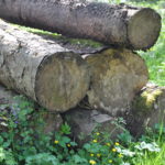 Log Pile