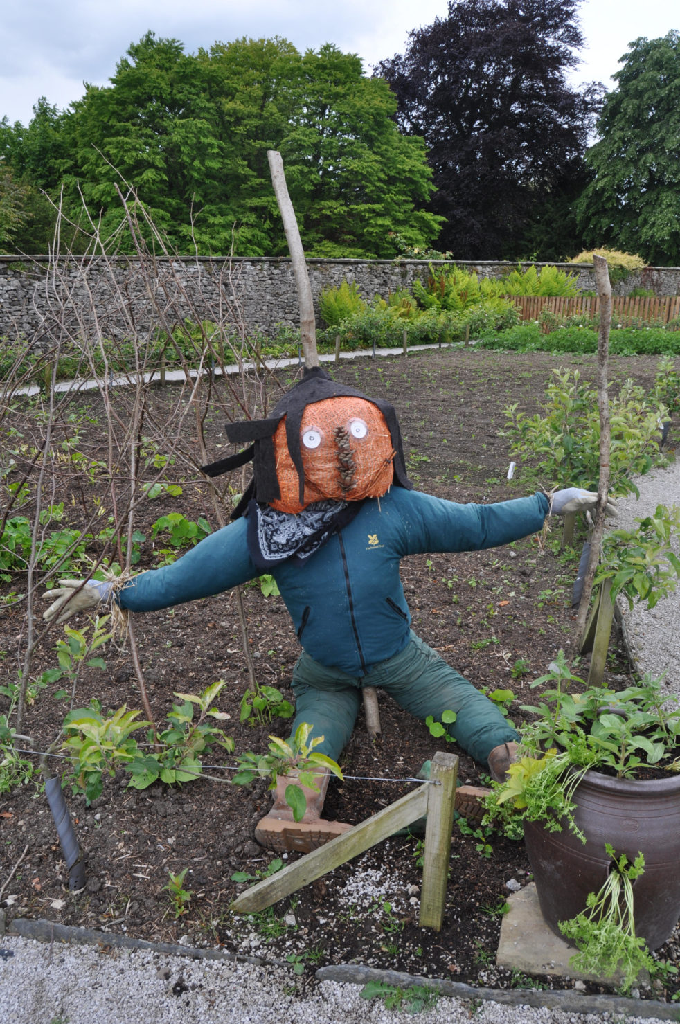 Indecent Scarecrow
