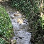 Babbling Brook, Stream